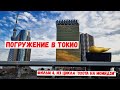 Погружение в Токио. Фильм 4 из серии &quot;Охота на момидзи&quot;