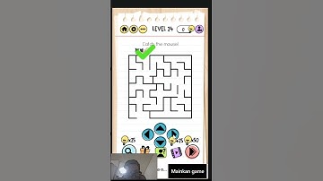 Brain Test from Level 24 to Level 25