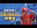【逸材】神宮で完璧に放り込んだ中学生。