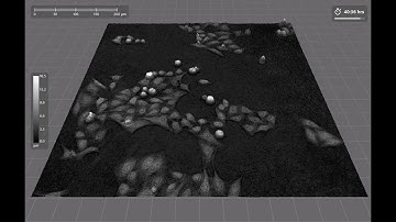 Live Cell Imaging | Direct and Non-invasive | HoloMonitor®