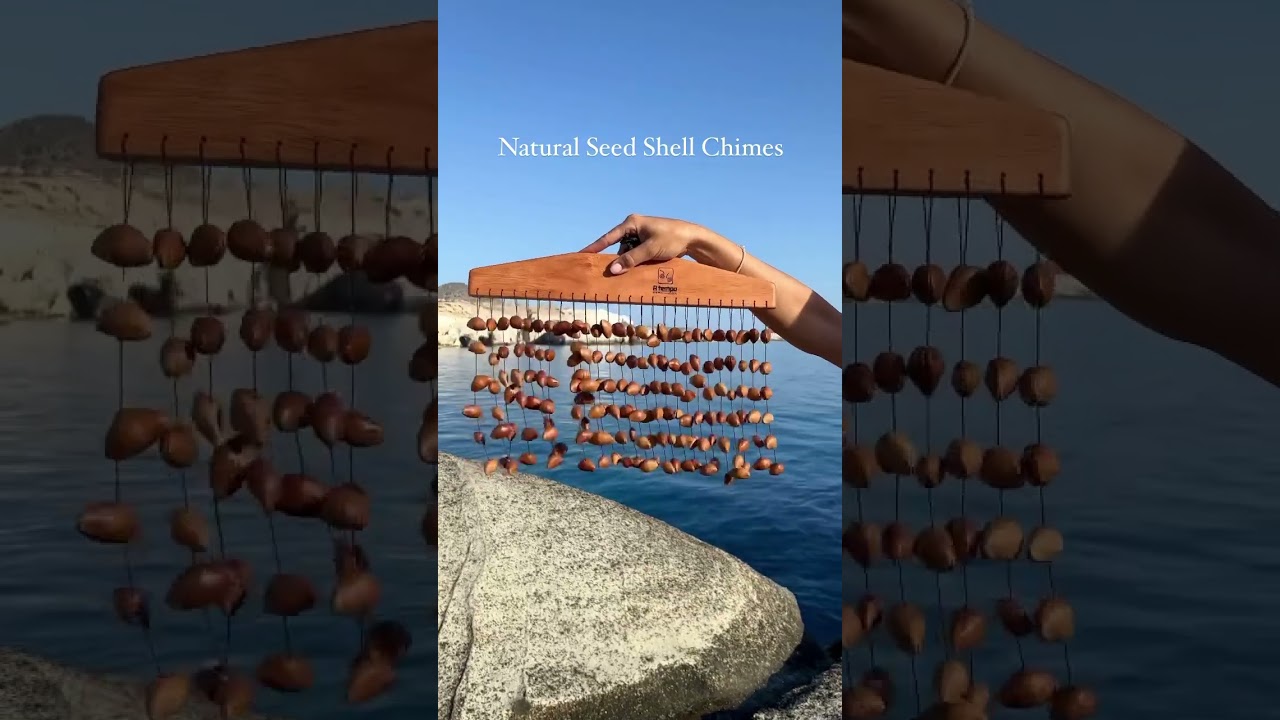 🤍 Serenity with Natural Seed Shell Chimes sound bath