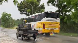 Hunting Bus Sumatera dan Jawa di Palas