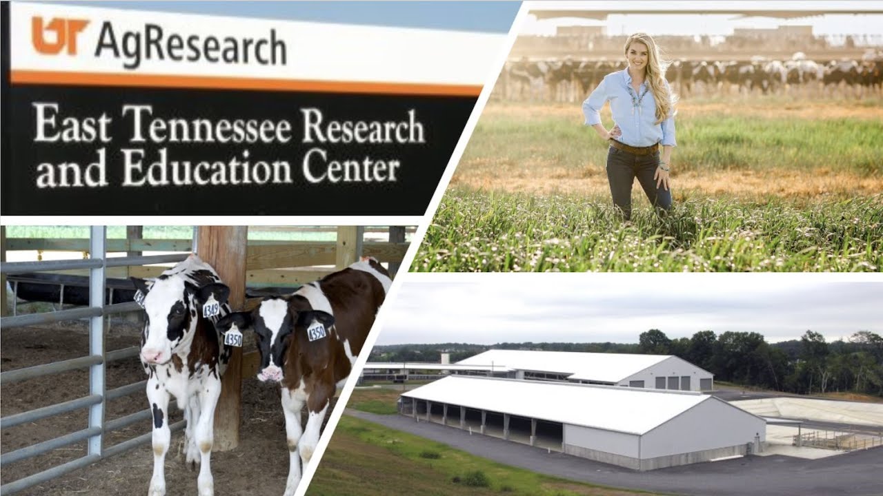 University of Tennessee's Little River Animal and Environmental Unit