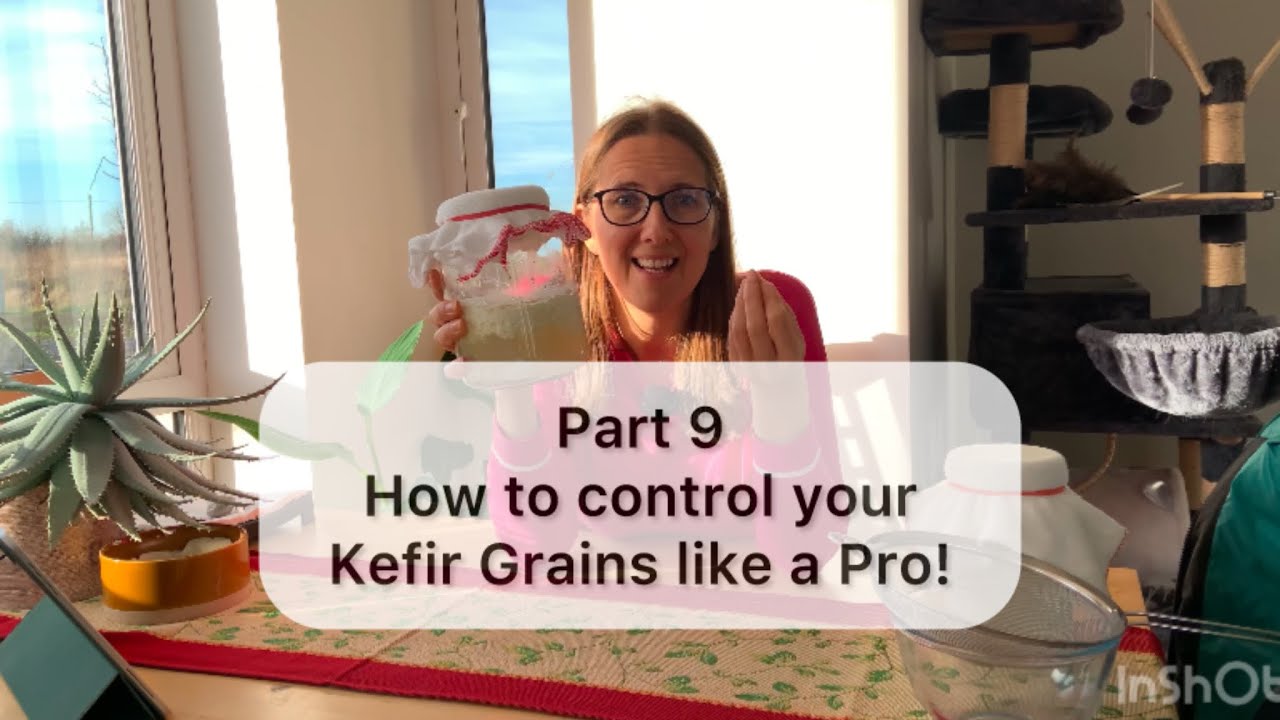 Как контролировать процесс брожения кефира для достижения идеальных результатов каждый раз!