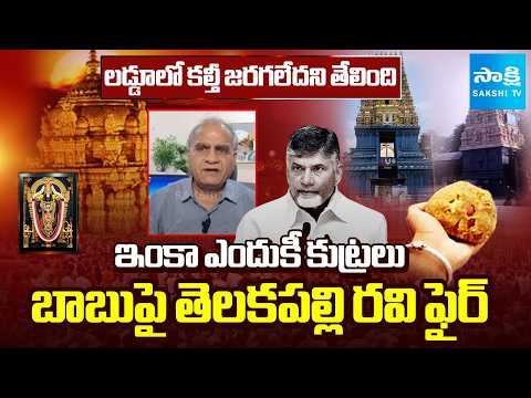 ఇంకా ఎందుకీ కుట్రలు | Telakapalli Ravi about Chandrababu Lies on Tirumala Laddu | Sakshi TV - SAKSHITV
