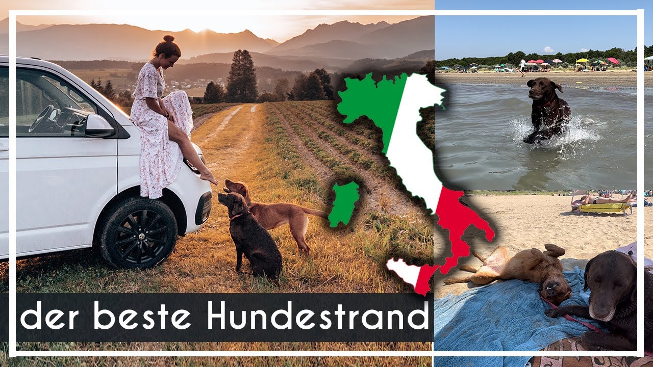 perfekter Hundestrand in Italien | mit Campingspot | Chocolate + Foxred Labrador |  KaroLovesMilka