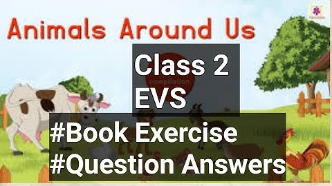 Animals Around Us | Book Exercise, Question answers | Class 2 EVS chapter 14