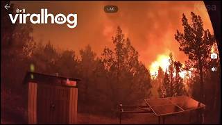 Utah Juniper Forest Fire Claims Cabin || ViralHog