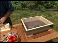 Beginning of video