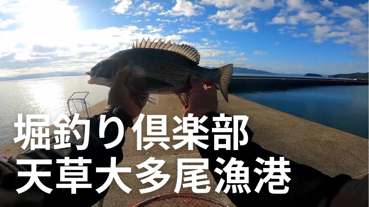 天草の大多尾漁港でチヌを狙う