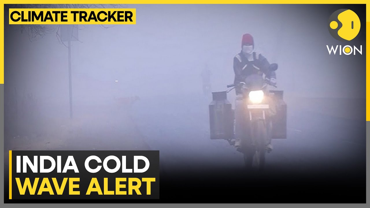 Freezing North India: Dense Fog Grips Delhi, IMD Warns of Peak Chill  | WION Climate Tracker
