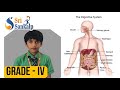 Sri Sankalp Olympiad School, Digestive System