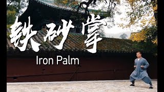 【紀錄片】鐵砂掌Iron Palm（少林功夫Shaolin Kungfu） by Kung Fu Group 254 views 1 year ago 10 minutes, 44 seconds