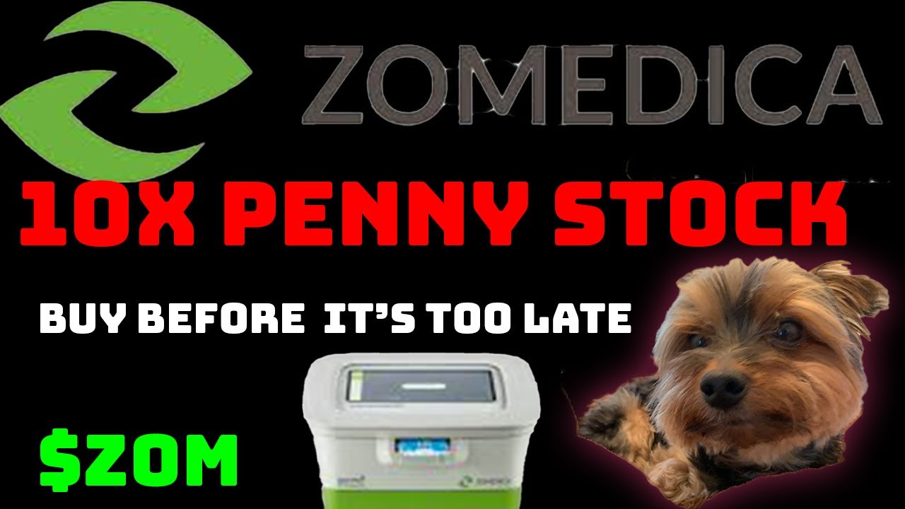 🔥🔥HUGE POTENTIAL ZOMEDICA (ZOM) STOCK BUY NOW? PRICE PREDICTION