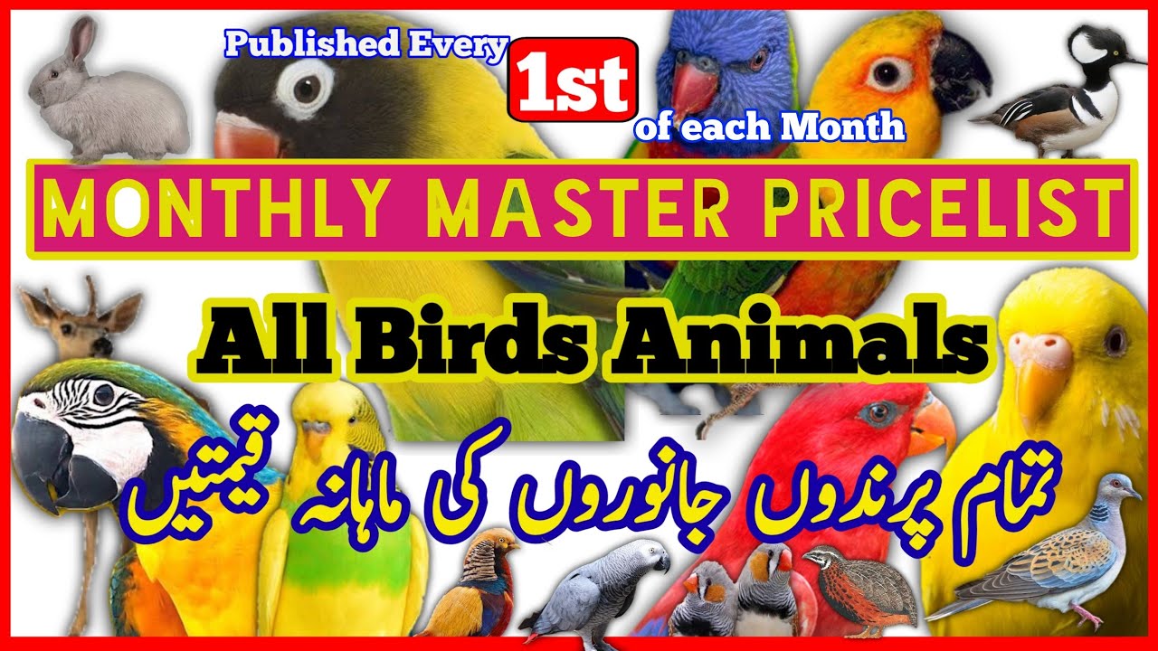 MAY 2023 Master Pricelist of All Bird Breeds Types Monthly Prices of
