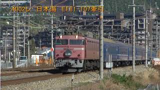 4002レ 日本海 EF81-107牽引(2011-01-08)