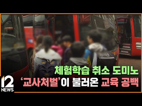 체험학습 취소 도미노…&amp;#39;교사처벌&amp;#39;이 불러온 교육 공백 [멈춰선 체험학습 1편] / EBS뉴스 2025. 05. 05
