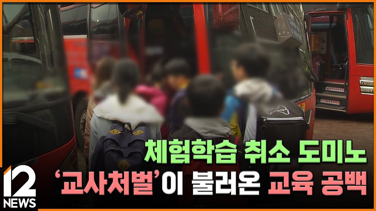 체험학습 취소 도미노…'교사처벌'이 불러온 교육 공백 [멈춰 선 체험학습 1편] / EBS뉴스 2025. 05. 05