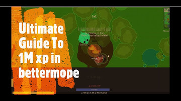 The Ultimate Guide To 1M Xp in bettermope