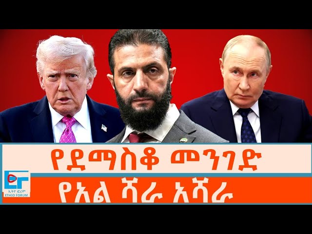 Қыздардың секс видеосы