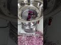 Automatic Onion Chopping Machine | Automatic Onion Cutting Machine | Onion Chopper Machine | Onion