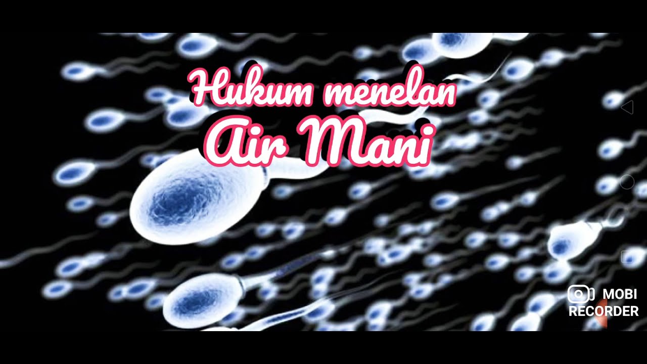 Hukum menelan air mani