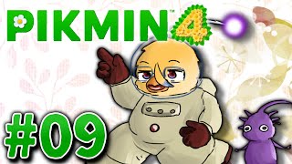 羽ピクミンのオニヨンは今どこに【ピクミン４＃９】