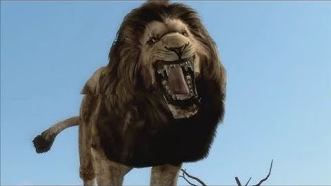 Cabela's Dangerous Hunts 2011 - Story Trailer | HD