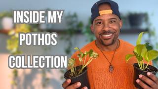My Pothos Collection Tour | 21 Stunning Pothos Varieties You Need to See