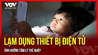 Báo Điện tử Tiếng nói Việt Nam (VOV)