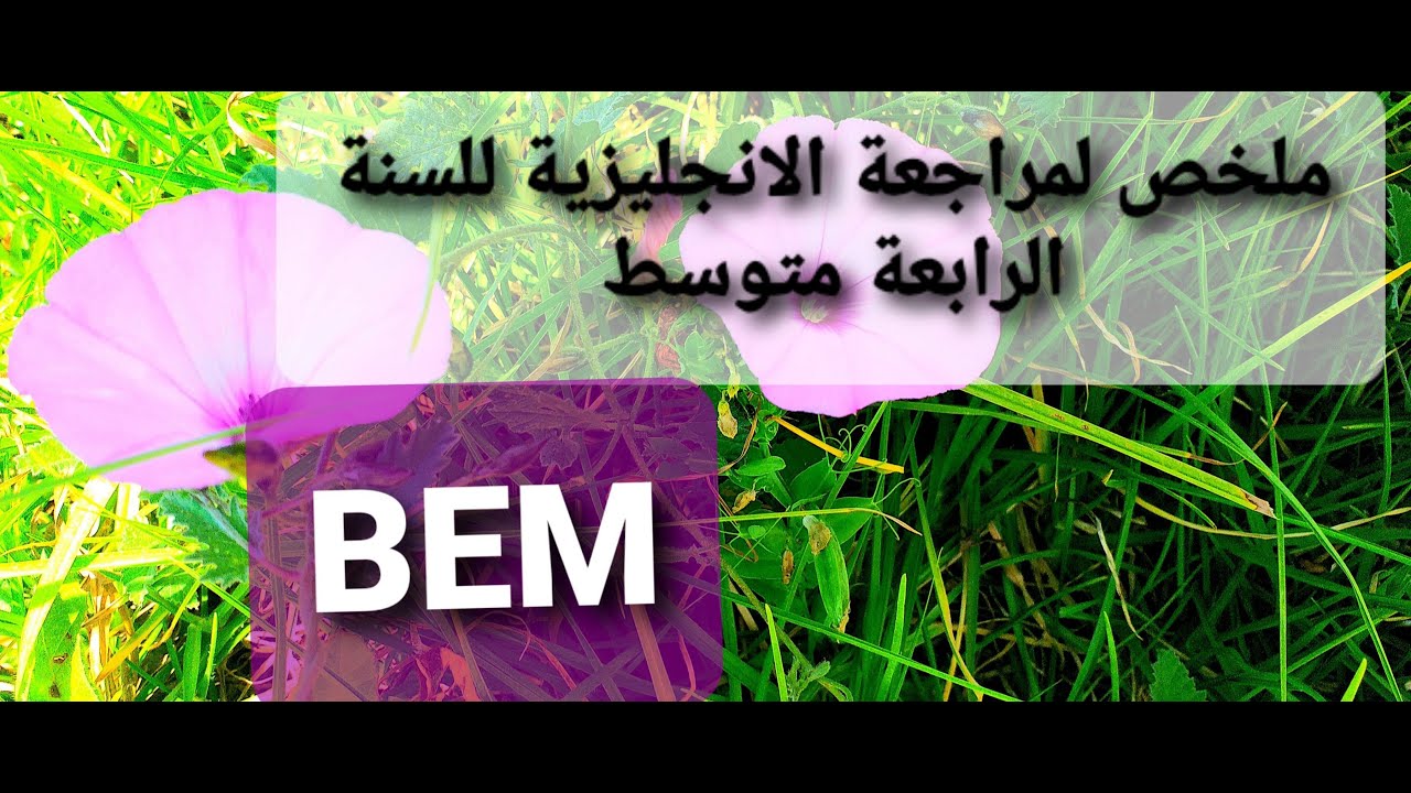 ملخص الانجليزية السنة الرابعة متوسط