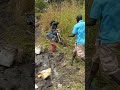 قيسان بلدي