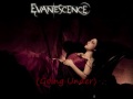 Evanescence~Going Under [Lyrics]