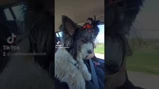 В Соседнее Село,На Дискотеку