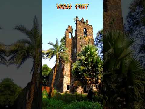 top 10 places to visit in palghar district / palghar picnic spot / #shorts #viral #india #trending