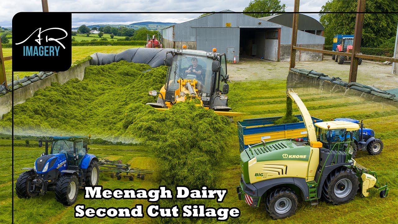 Meenagh Farms Second Cut Silage | Winter Feed for the 190 Dairy Cows
