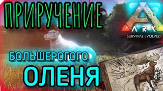 ПРИРУЧЕНИЕ БОЛЬШЕРОГОГО ОЛЕНЯ в ARK Survival Evolved | Ark Mobile, Арк Мобайл, deer taming