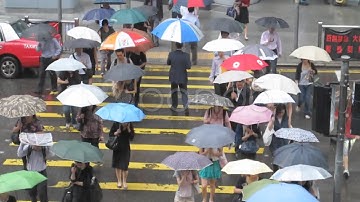 Hong Kong-Umbrellas-Rain 2. Stock Footage