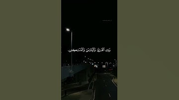 #قران_كريم #تلاوة_خاشعة #ماهر_المعيقلي #قرآن #راحة_نفسية #quran #foryou #اكسبلور #video #explore