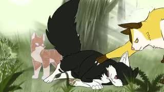 Warriors Imagine Dragons Map Part 12