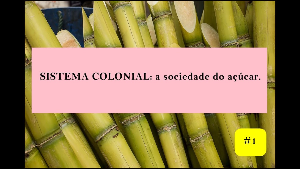 HISTÓRIA DO BRASIL: Sistema colonial: sociedade do açúcar. #01