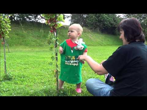 Video: Jak Naučit Dítě šálku