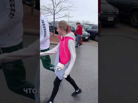 Video: Projektfremfører: 14 trin Video: Projektfremfører: 14 trin