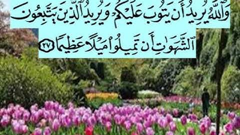 سورة النساء اية ٢٧ جمال القرش