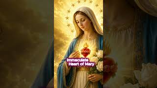 Immaculate Heart of Mary Shorts
