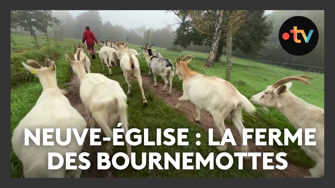 Un lieu, des histoires à Neuve-Eglise : la ferme des Bournemottes - Episode 3/4