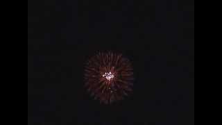 Beautiful Beautiful Beautiful Firework Shell