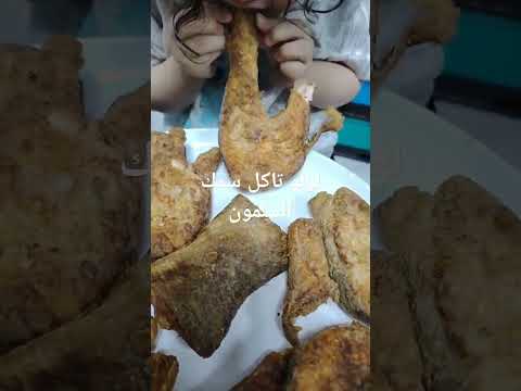 لولو تاكل سمك السلمون