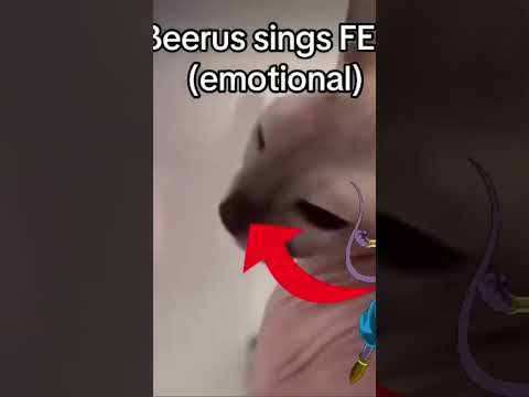 Beerus sings FE!N