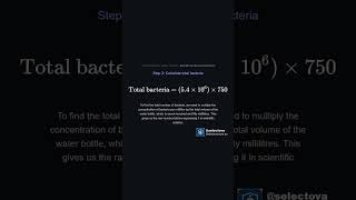 Scientific notation (standard form) | Melbourne Selective Entry High School Exam Practice| Maths